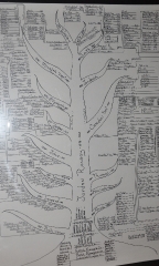 Central Trunk of Family Tree