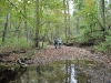 10-1-11-reunion-planning-cabin-6