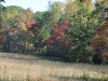 10-8-11-fall-color-16
