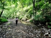 June walking in creek